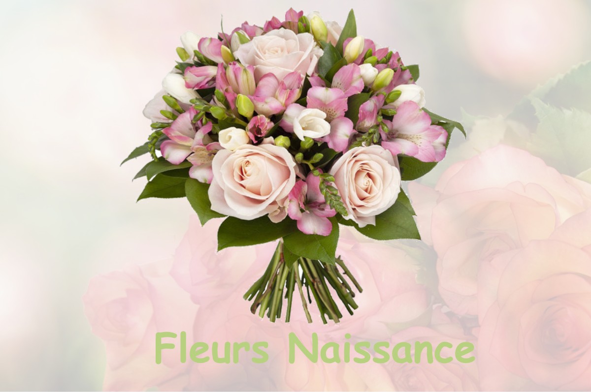 fleurs naissance VENNECY